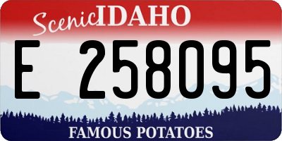 ID license plate E258095