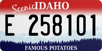ID license plate E258101
