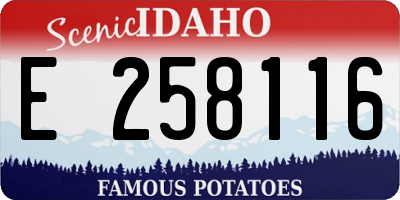 ID license plate E258116