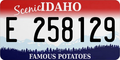 ID license plate E258129