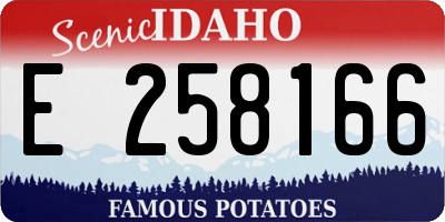 ID license plate E258166