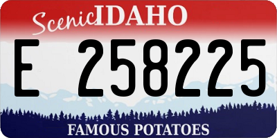 ID license plate E258225
