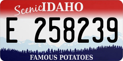 ID license plate E258239