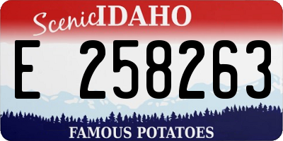 ID license plate E258263