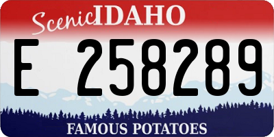 ID license plate E258289