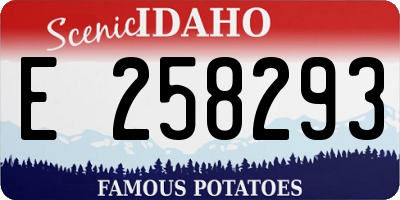 ID license plate E258293