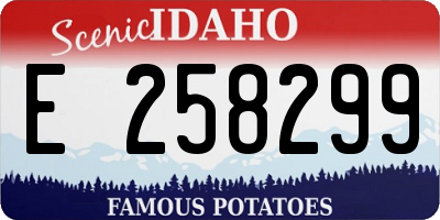 ID license plate E258299