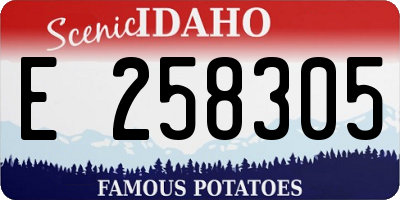 ID license plate E258305