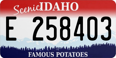 ID license plate E258403