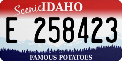 ID license plate E258423