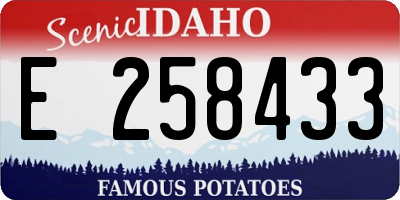 ID license plate E258433