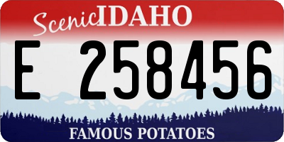 ID license plate E258456