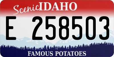 ID license plate E258503