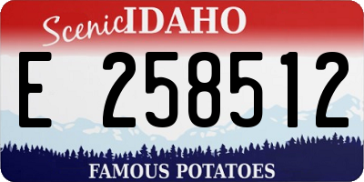 ID license plate E258512
