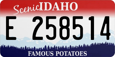 ID license plate E258514