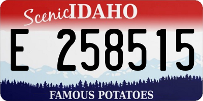 ID license plate E258515