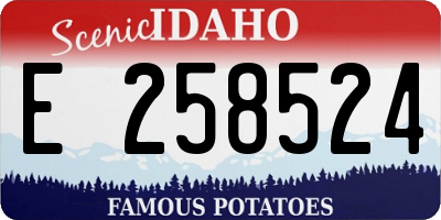 ID license plate E258524