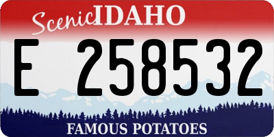 ID license plate E258532