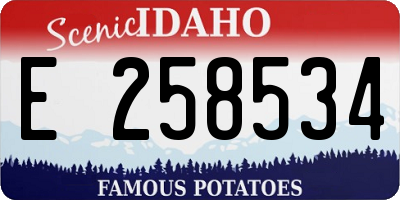 ID license plate E258534