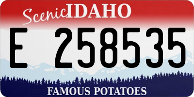 ID license plate E258535