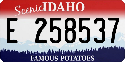 ID license plate E258537