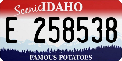 ID license plate E258538