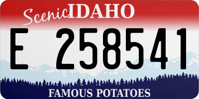 ID license plate E258541