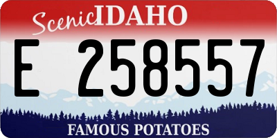 ID license plate E258557