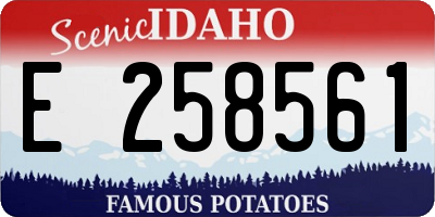 ID license plate E258561