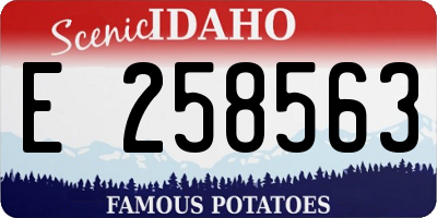 ID license plate E258563