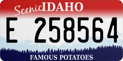 ID license plate E258564
