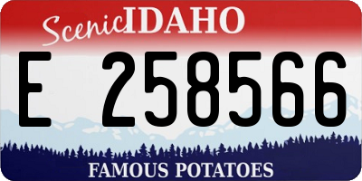 ID license plate E258566