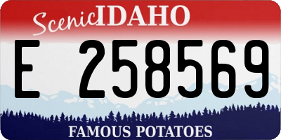 ID license plate E258569