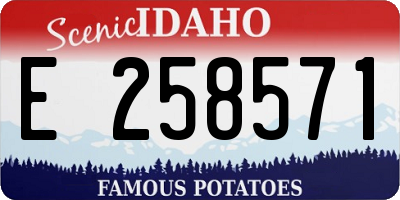 ID license plate E258571