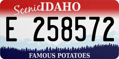 ID license plate E258572
