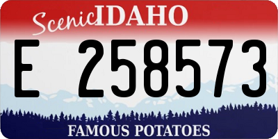 ID license plate E258573