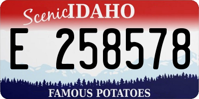 ID license plate E258578