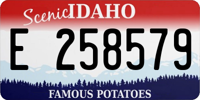 ID license plate E258579