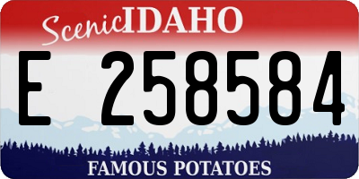 ID license plate E258584