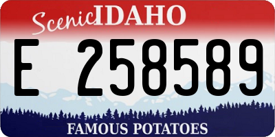 ID license plate E258589