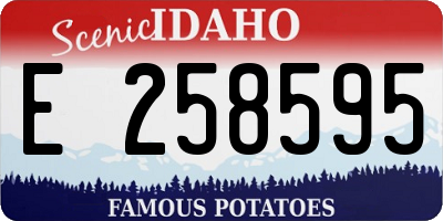 ID license plate E258595