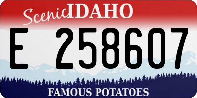 ID license plate E258607