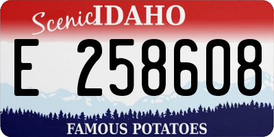 ID license plate E258608