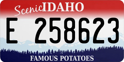 ID license plate E258623