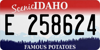 ID license plate E258624