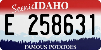 ID license plate E258631