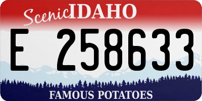 ID license plate E258633