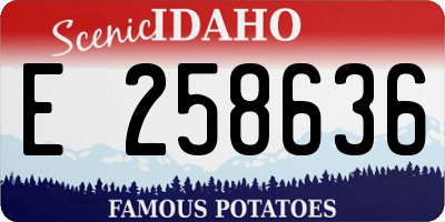 ID license plate E258636
