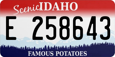 ID license plate E258643