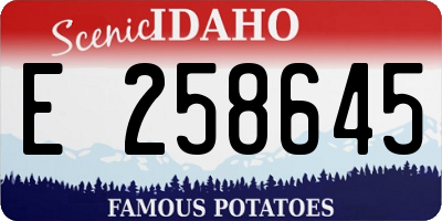 ID license plate E258645